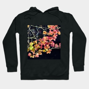 Autumnal Poetry Sound Hoodie